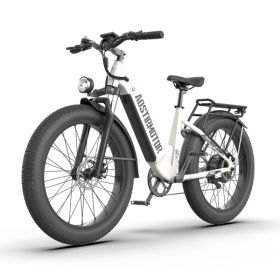 AOSTIRMOTOR New Pattern 26" 1000W Electric Bike Fat Tire 52V15AH Removable Lithium Battery for Adults(white)